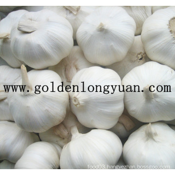 Jinxiang Pure White Garlic From Local Factory